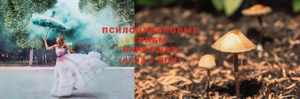 гашик Алексин